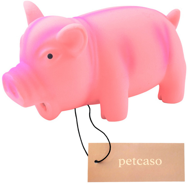 펫카소 강아지 라텍스 장난감 삑삑이 돼지 고급형, 1개