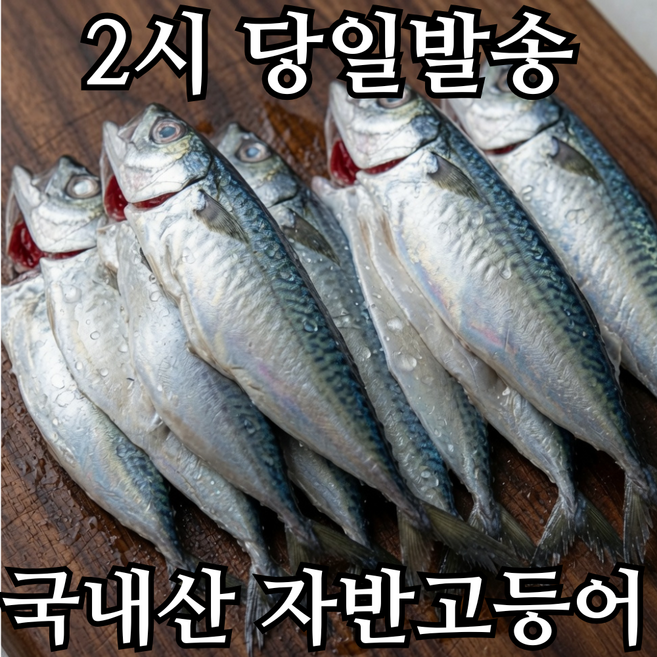 국내산 손질 자반 고등어 특대 국산 고등어, 1개, 자반 고등어 10미 대(3.1~3.7kg)