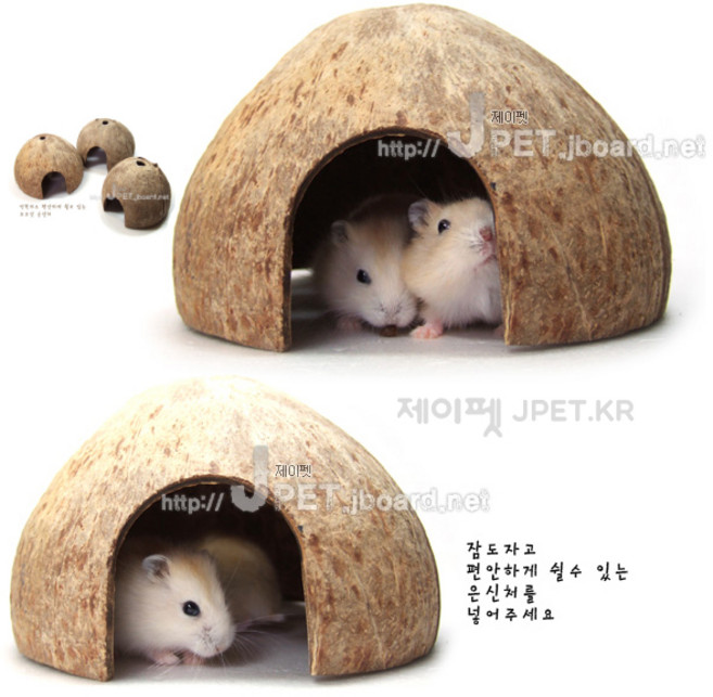 제이펫 천연야자 코코넛 햄스터 은신처 장난감, 공용, 1개, 드워프 골든공용
