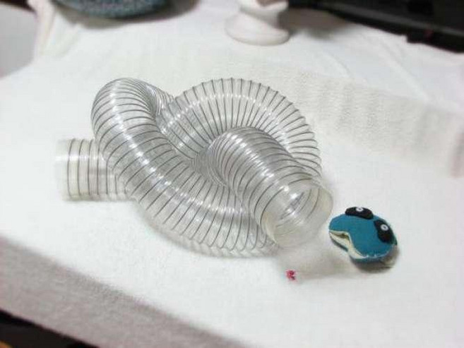 햄스터 터널 페럿 고슴도치 소동물 투명 장난감 2m, 2m터널, 1개