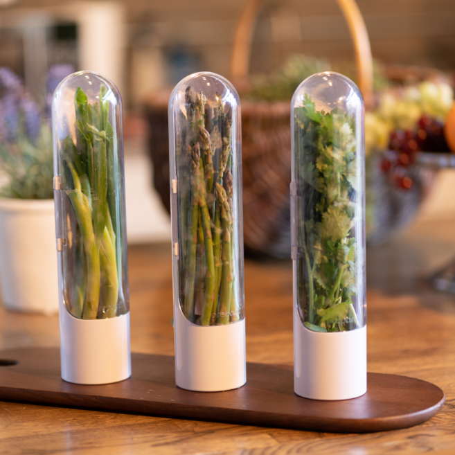 prepara Herb Savor POD 2.0 香草保鮮儲存盒 冰箱收納神器 延長食材保鮮期 透明易辨識 適用多種香草, 1個