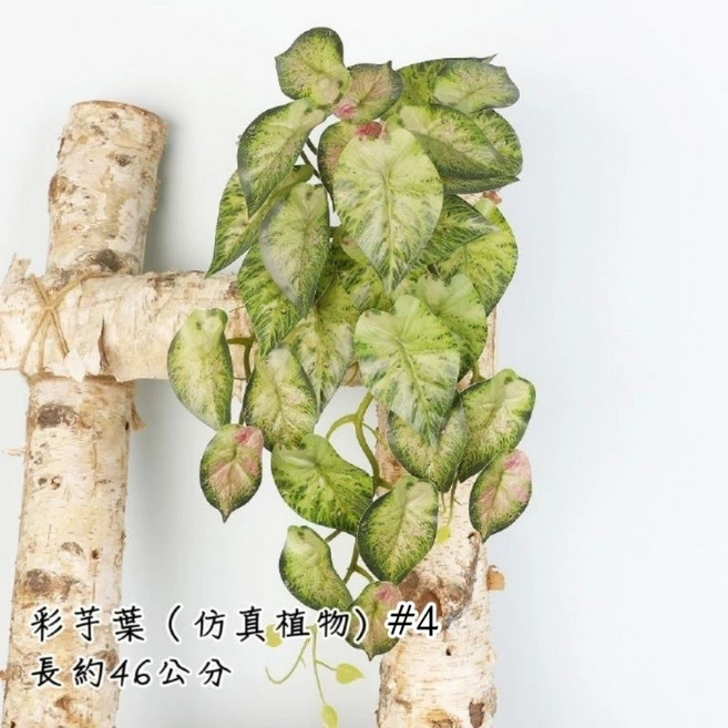 尖葉壁掛 仿真植物 長約73公分, 1個, 仿真 彩芋葉 壁掛#4