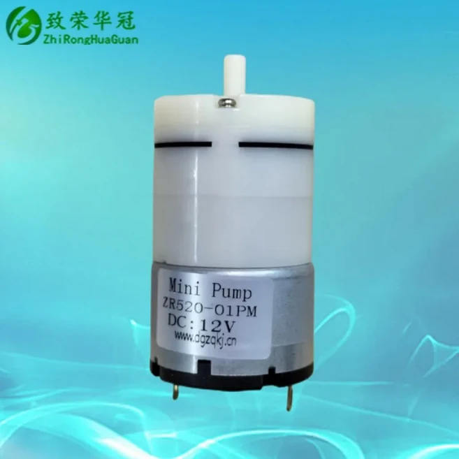 마이크로 에어 펌프 유량 3.5L 부스터 520 미니, 01 CHINA, 03 ZR52001PM DC 12V