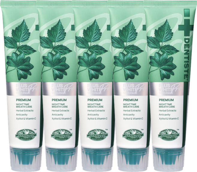 덴티스테 플러스 화이트 치약 튜브형, 100g, 5개