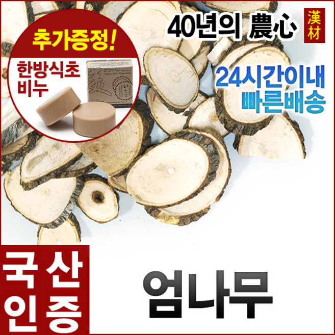 자애인 국산 엄나무 (절) 300g 음나무 해동목, 1개
