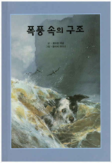 폭풍 속의 구조, 해피에듀