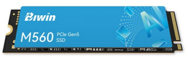 BIWIN M560 M.2 NVMe PCIe5.0x4 Dramless M.2 SSD, m560 qlc, 1TB