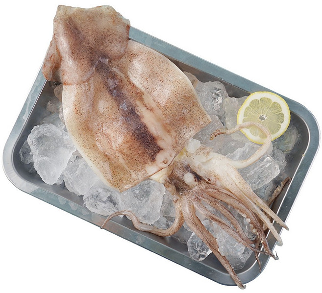 [이룸찬] 냉동 손질 오징어 1kg 급냉오징어 오징어몸통 원양산, 1개, 1kg(4-6마리)