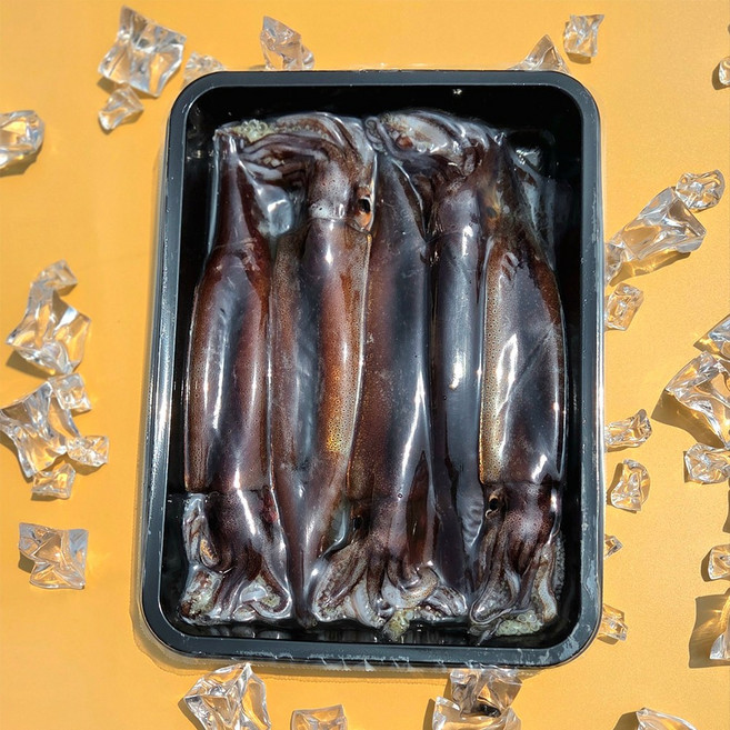 국내산 동해안 생물급냉 활오징어(초장 포함), 1세트, 5미(750g내외)