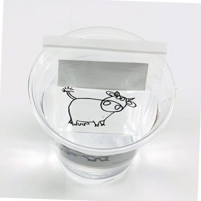 초등 과학 실험 교구 전반사 원리 관찰 키트 5인용