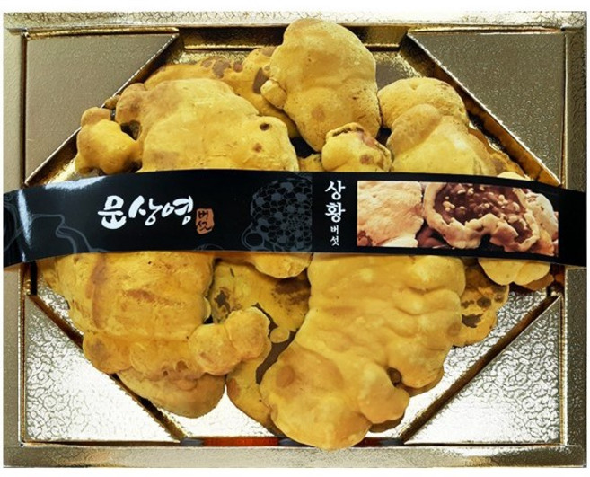 [문상영 버섯] 유기농 상황버섯 특품 선물용 250g 300g 500g, 1박스
