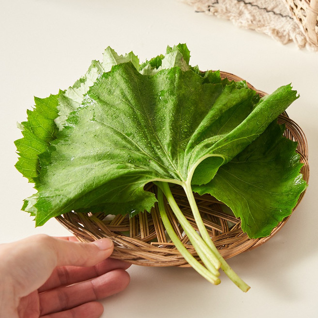 국내산 생 머위잎 머위순 머위나물, 400g, 1개