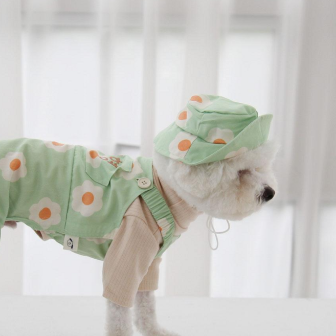 유앤펫 강아지 데이지 벙거지 모자 악세사리, 그린, 2개