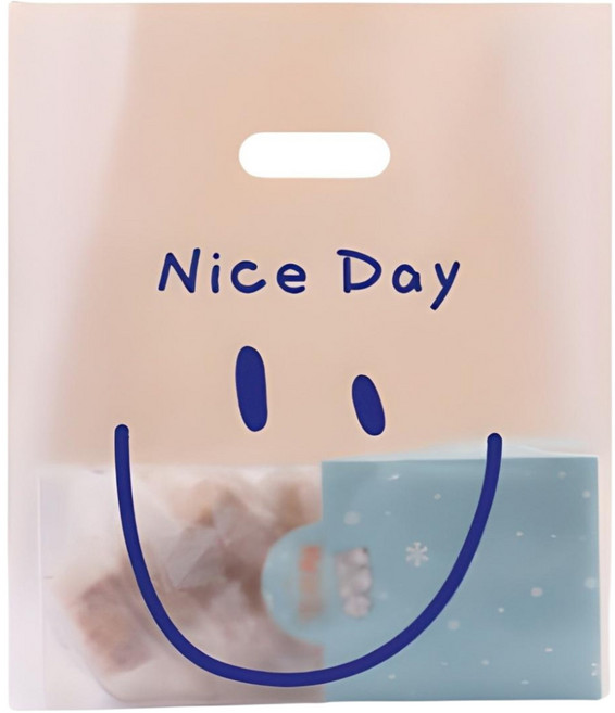 더쏠 손잡이구디백 다용도 선물 포장가방, 50p, 나이스데이