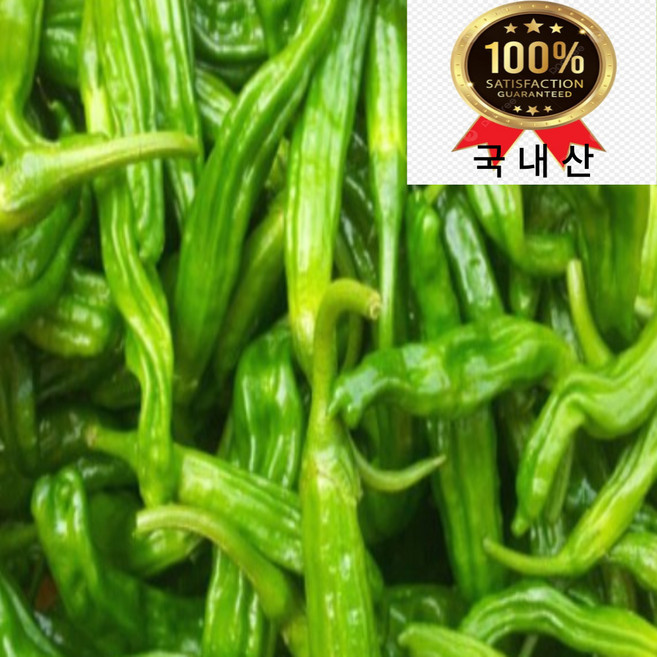 국내산 꽈리고추, 1개, 못난이 꽈리고추 1kg