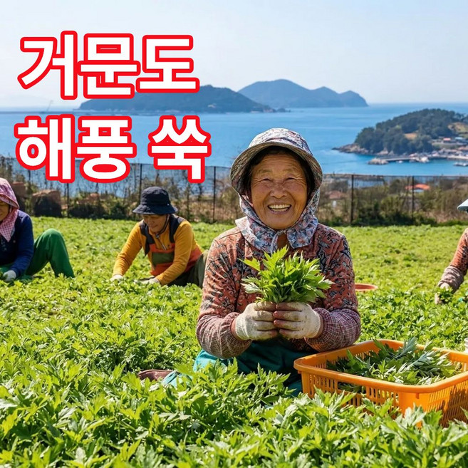 더맛곳간 국산 여수 거문도 생쑥 햇쑥 노지 쑥 해풍쑥 쑥떡용 쑥국용 국내산, 1kg, 1개