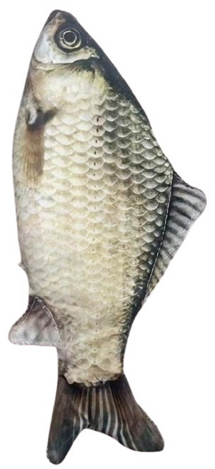 헤일리마켓 리얼한 생선 필통 물고기 붕어 파우치 재미있는선물, 떡붕어