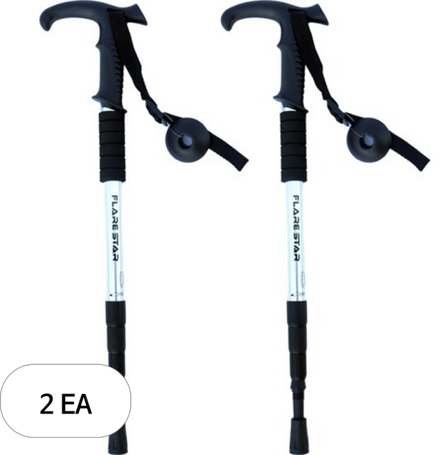리앤베르 초경량 4단 접이식 등산스틱, 실버, 2개