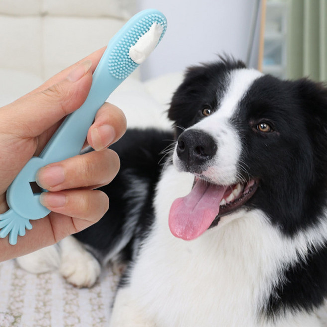 허그마이펫 반려동물 실리콘 칫솔 3종 세트 15cm 탄력, 1세트, 혼합색상