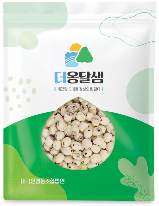 더옹달샘 엄선한 우수품질 깐 연자육 500g 연꽃씨 연밥, 1개