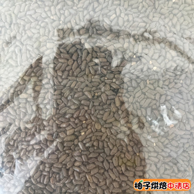 【柚子烘焙食品】決明子 5斤 沖泡茶, 1個