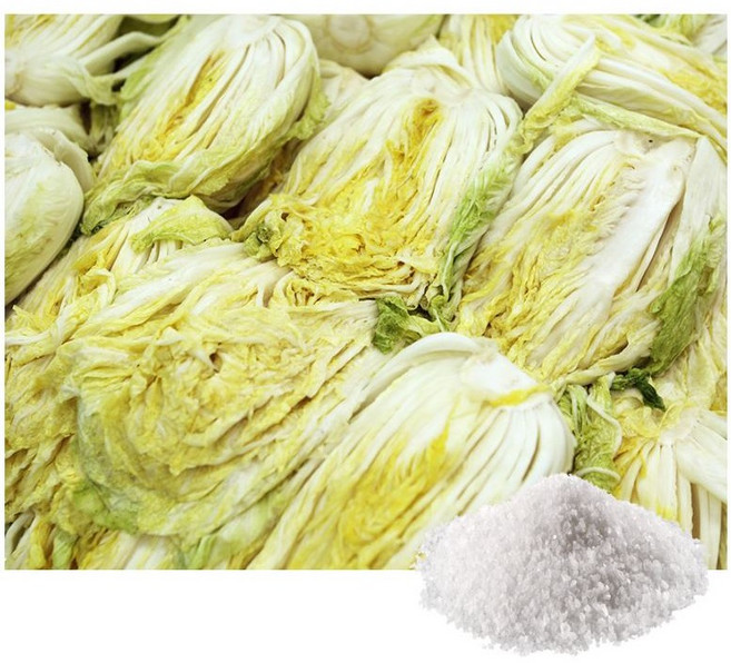 강원도 고랭지 절임배추, 1박스, 10kg, 익일 출고