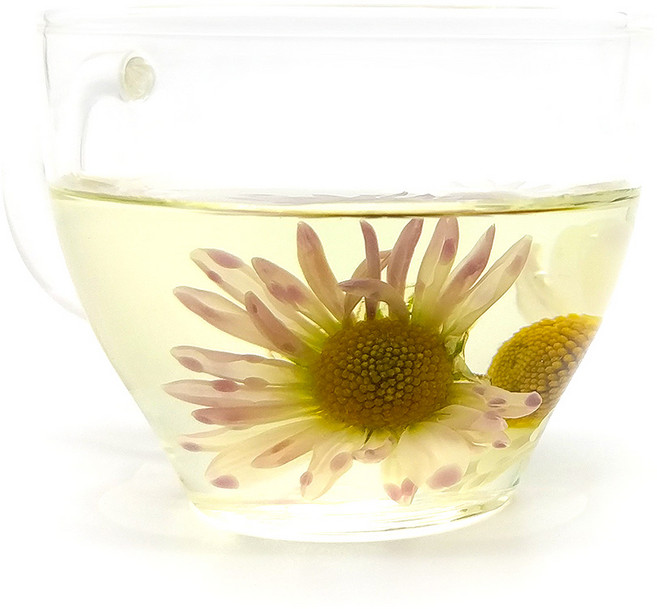 길은꽃차 유기농 구절초 꽃차 /국산, 1개, 1개입