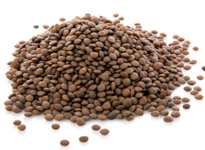 청정지역 캐나다산 렌틸콩 브라운렌틸콩 렌즈콩, 1개, 1kg