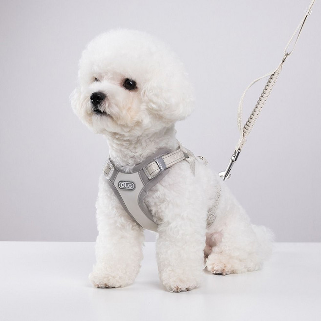 올지 세이프 하네스 리드줄 세트, 1세트, 라이트그레이