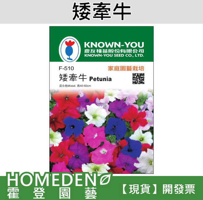 KNOWN-YOU 農友種苗 矮牽牛花卉種子 F-510, 1包(約70粒)
