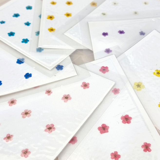 드라이플라워 압화꽃 미니꽃잎 압화공예 누름꽃, 화이트