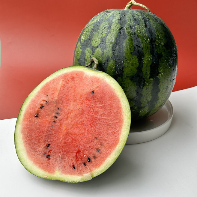 프리미엄 고당도 맛있는 꿀 정품 수박 5-6kg 산지직송 가정용 하우스 2025년 정품 수박 첫 출하, 1개