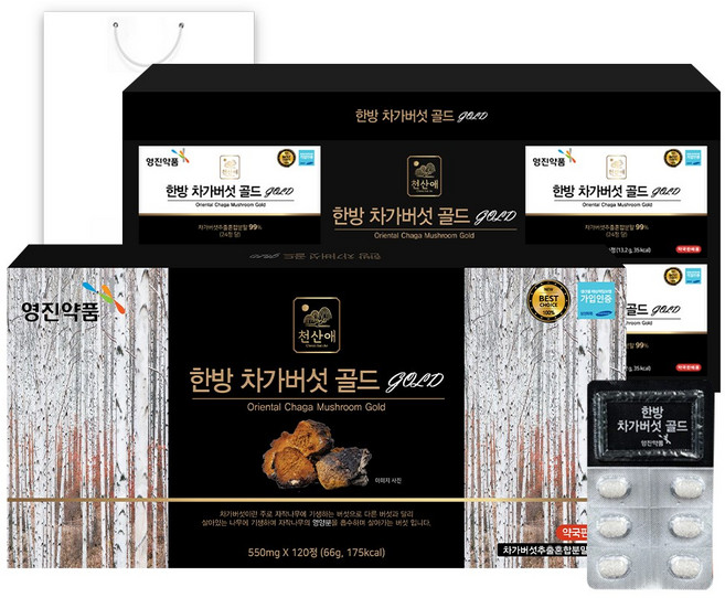 영진약품 한방 국내산 차가버섯 골드 4개월분, 1박스, 120정