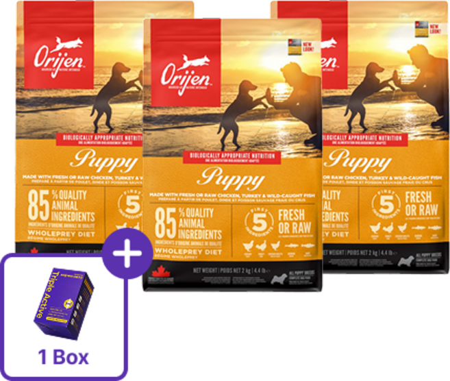(관절 트릿 1박스) + 오리젠 반려견 퍼피 건식사료 2kg x 3, 3개, 닭