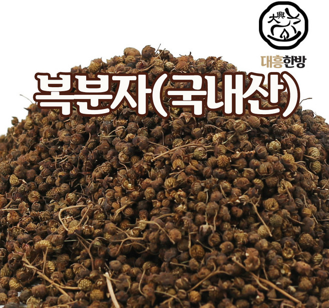 대흥한방 복분자 300g 국내산, 1개