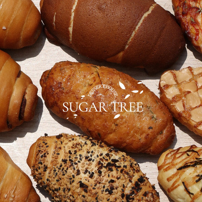 슈가트리 고급버터 명품소금빵 완제빵 no1~no6, 크랙, 5개, 60g