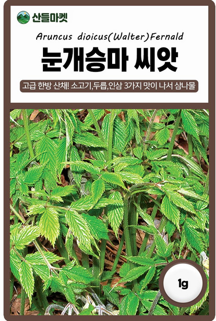 다농 눈개승마 씨앗 1g 눈개승마씨 삼나물 산채 종자, 1개