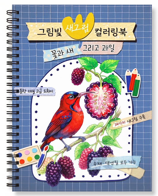 [수채화 색연필 모두 가능] 새그림 컬러링북 어르신 색칠공부 치매예방 학습지 성인 시니어 컬러링북, 그림빛, 그림빛 편집부