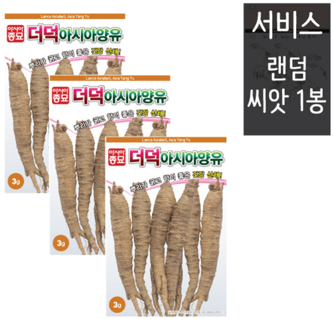 더덕씨앗 3g ( 3봉 + 랜덤씨앗1봉 ) 아시아양유더덕 민속채소 건강채소, 1개