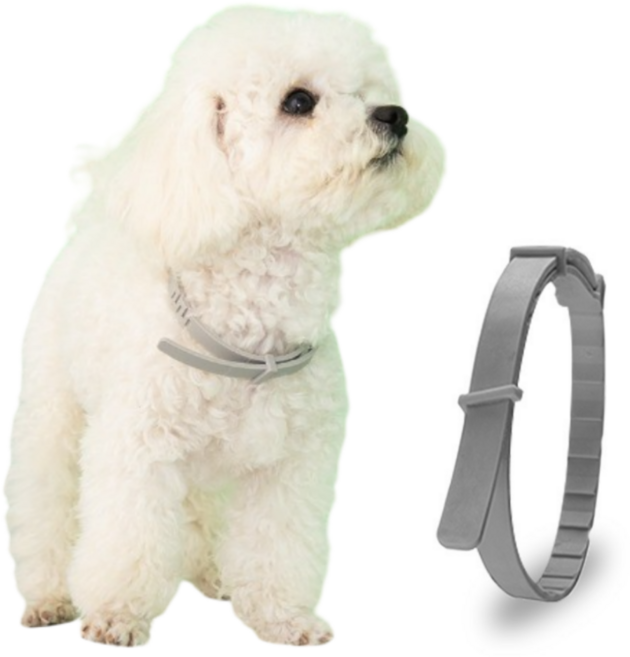 오브젝티브 애견 강아지 진드기 목걸이, 그레이대형(8kg이상), 1개, 100ml