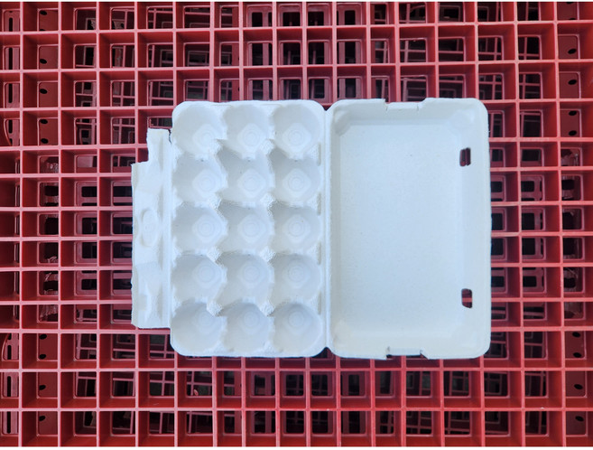 알박스알픽스 15구 종이 계란케이스 특란 밀폐형[100개], 1개