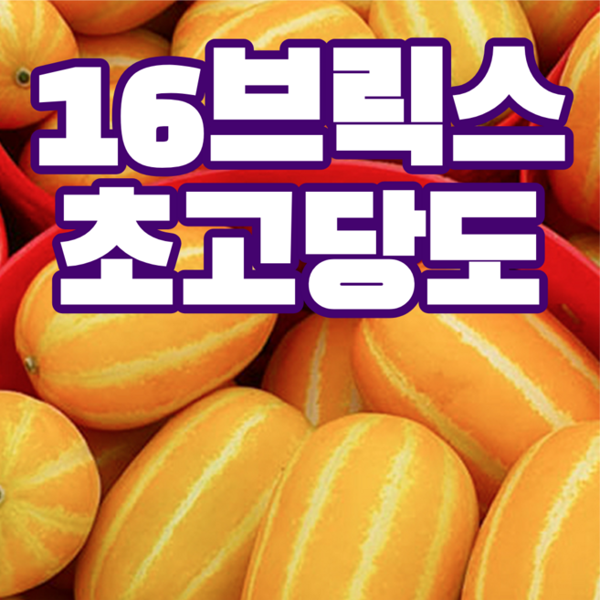 9위 - [리얼고당도] 성주 꿀 참외 가정용, 1박스, 초특가 10kg