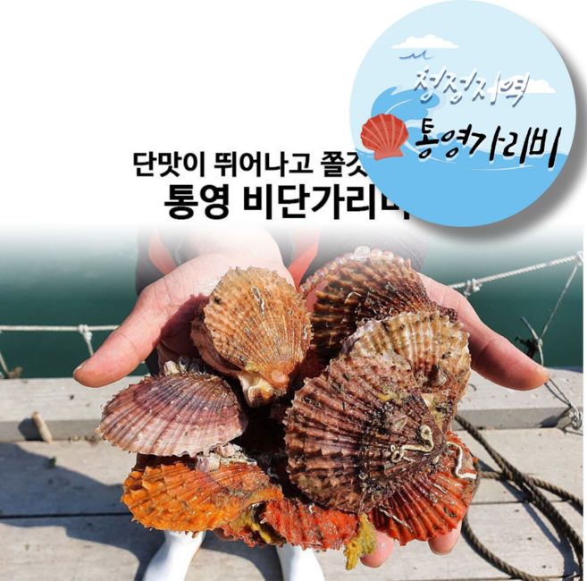 [산지직송] 탱글탱글 신선한 통영 자연산 홍가리비/1kg 2kg 3kg 5kg 10kg, 1세트, 홍가리비 2kg