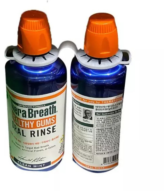 테라브레스 헬시검스 오랄린스 클린민트향 1L 2개