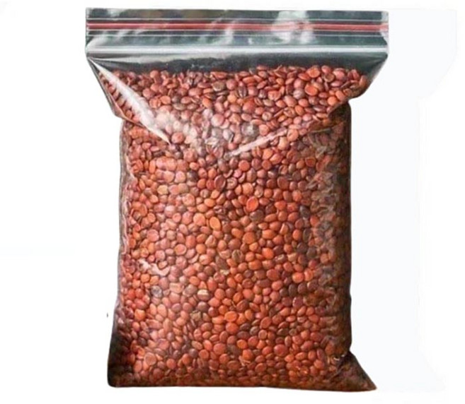 청정 볶음 산조인 따뜻한차 대용량 건강재료, 1개, 250g