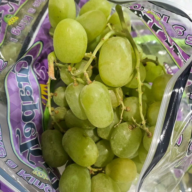 애플 청포도 오톰 크리스피, 1개, 1.5kg