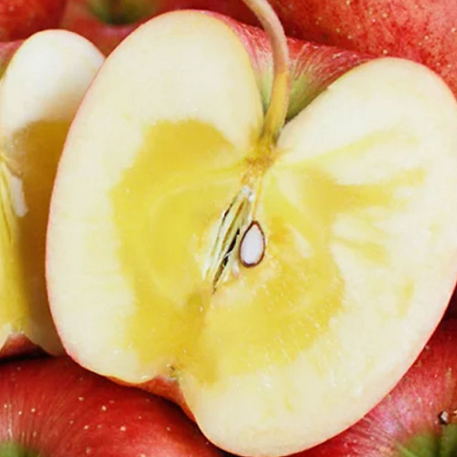 [50박스한정초특가] 재구매율1위 농장직송 부사사과 꿀사과, 1개, 1kg