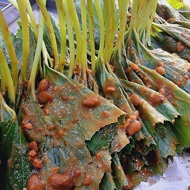 입맛 돋우는 봄 나물 된장머위, 1개, 500g