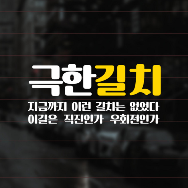 윈스턴 극한초보 길치 차량스티커 혼합 운전 왕 유리시트컷팅 주문제작 선물효도 디자인, 22.극한길치(레트로06)(혼합)(EX018), 화이트, 1개