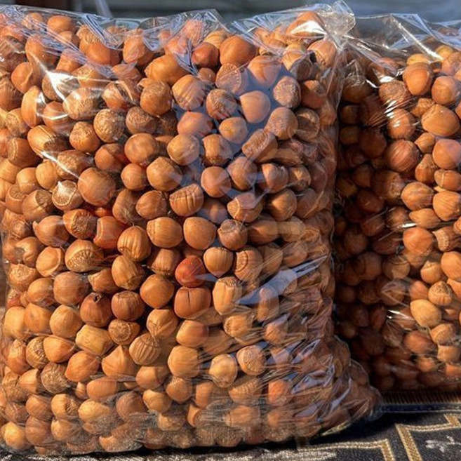 이슬빛 헤이즐넛 견과류 익음 개암 중국특산 껍질있음 오프너 증정, 1개, 1kg